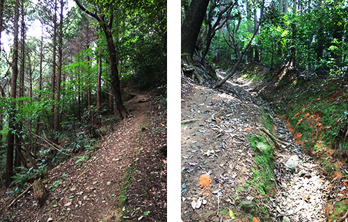 足立山登山